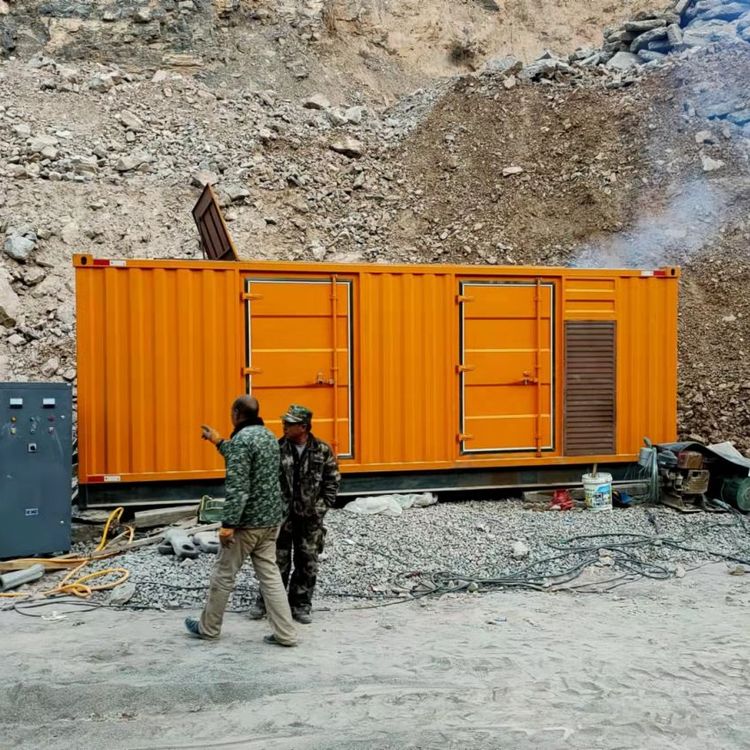 红坪镇如何选择适合自己的 800KW 柴油发电机组？